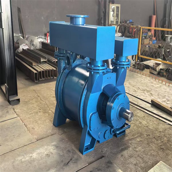 Slurry Varuum pump